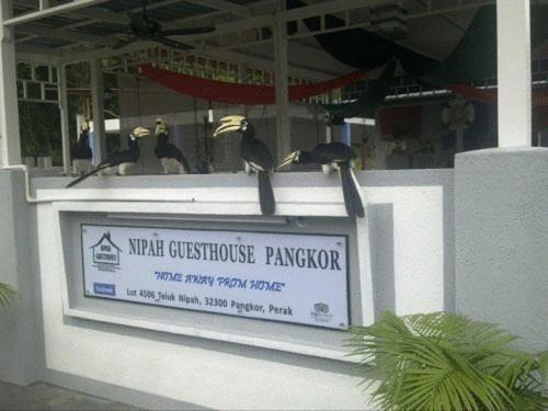 Nipah Guesthouse Pangkor Pekan Pangkor Bagian luar foto